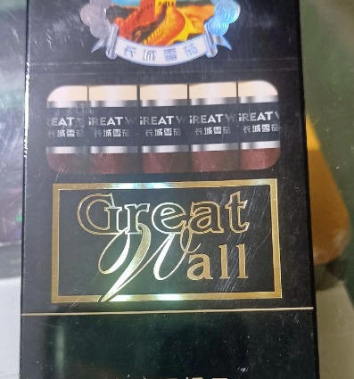 长城金南极 - 图片