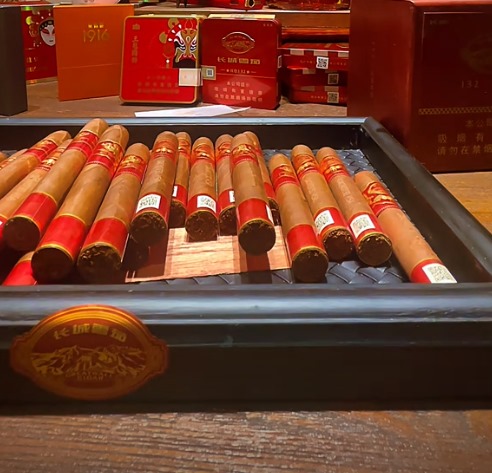 长城导师7号 - 图片