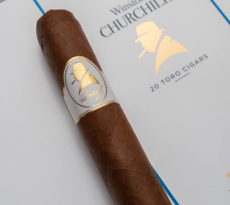 大卫指挥官 - 图片