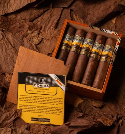 高希霸罗伯图 - 图片