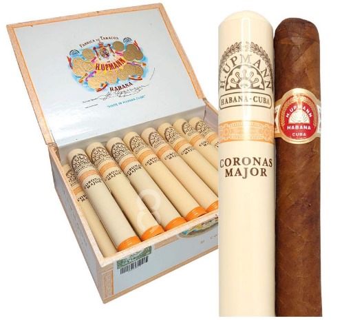 乌普曼美冠银管 - 图片