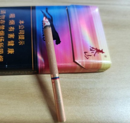 泰山黑豹 - 图片