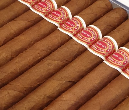 罗密欧与朱丽叶运动员