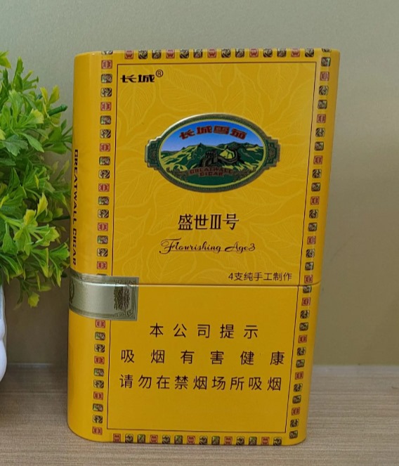 长城盛世3号新版