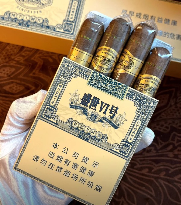 长城盛世6号新版