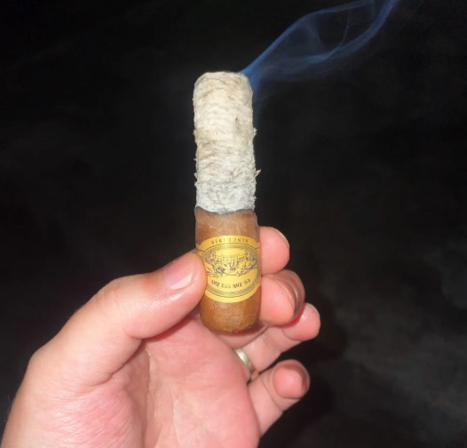 长城盛世6号 - 图片