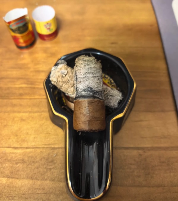 长城虎年生肖 - 图片