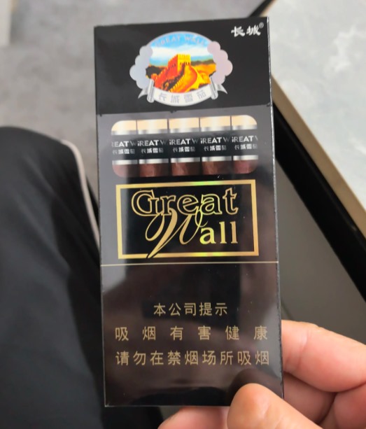 长城金南极 - 图片