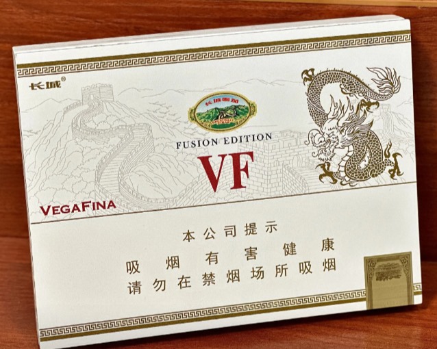 长城VF维嘉金字塔