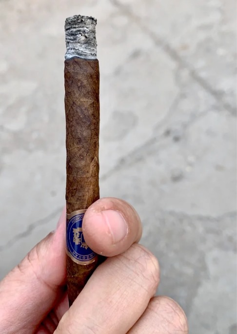 王冠塑2号 - 图片