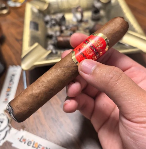 麦克纽杜橙色灵感 - 图片