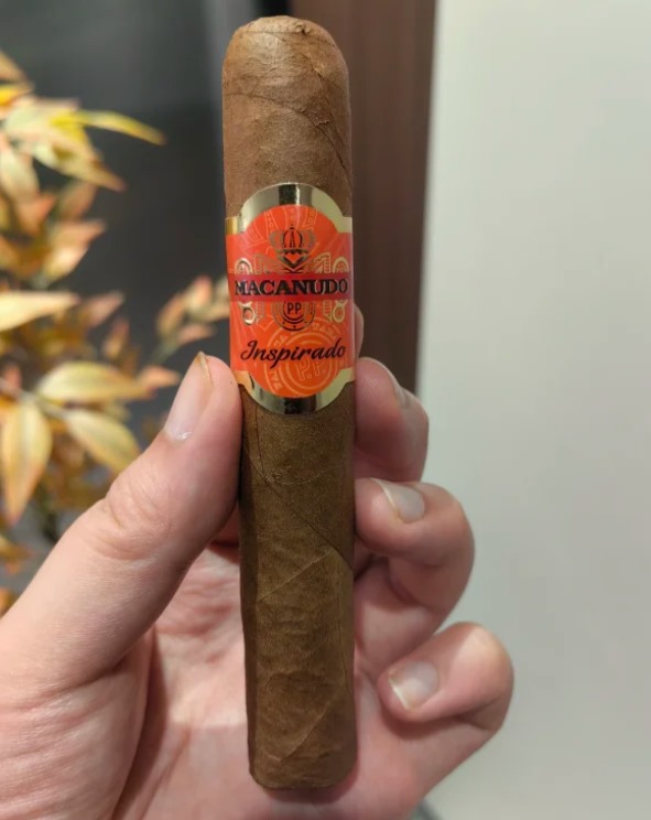 麦克纽杜橙色灵感