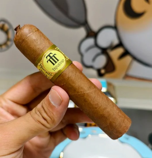 特立尼达守望者 - 图片