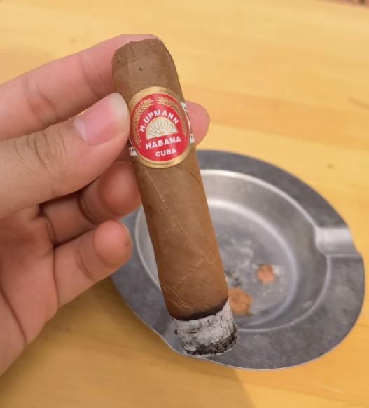 乌普曼半皇冠 - 图片