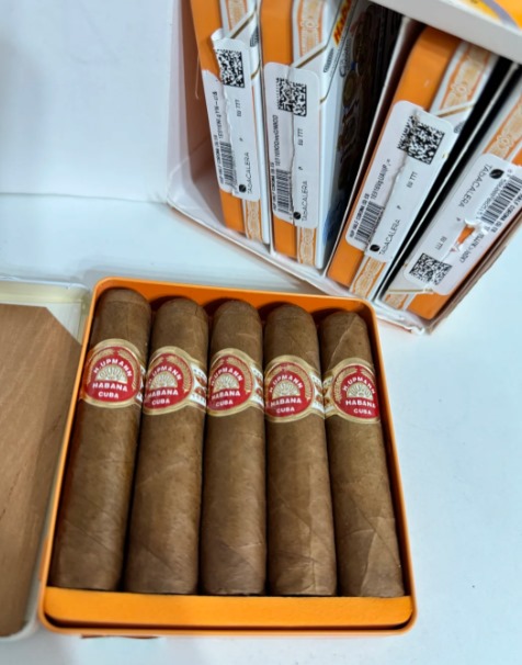 乌普曼半皇冠 - 图片