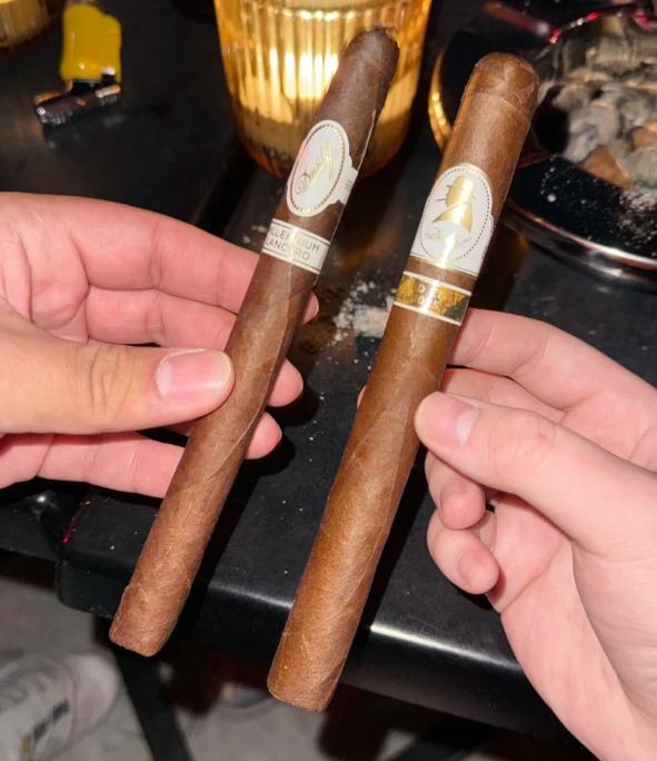 大卫艺术家 - 图片