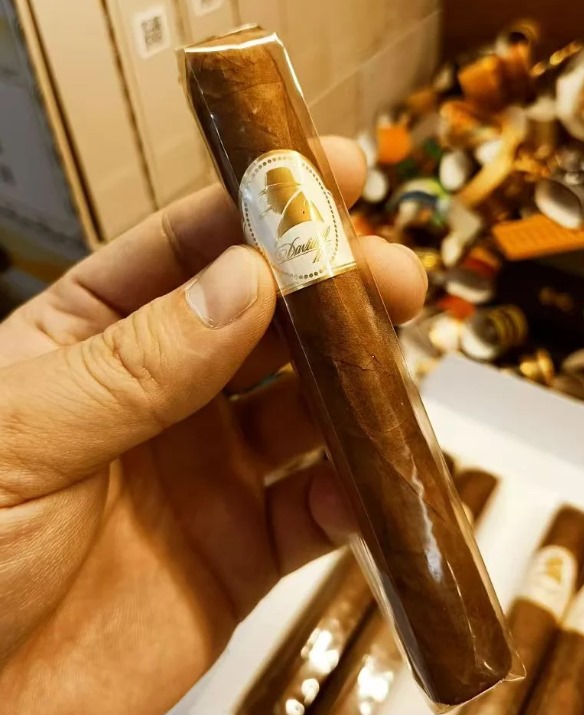 大卫艺术家 - 图片