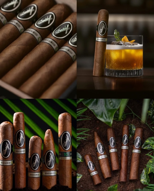 大卫艾斯库里奥罗伯 - 图片