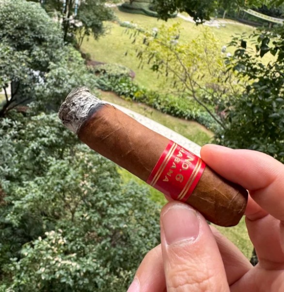 帕特加斯D6 - 图片