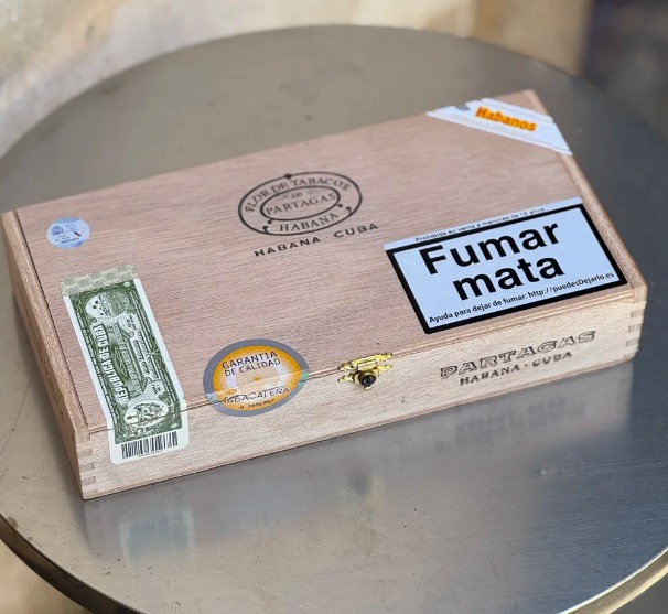 帕特加斯D4 - 图片