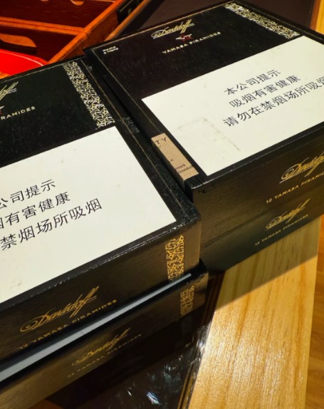 大卫玛雅鱼雷 - 图片