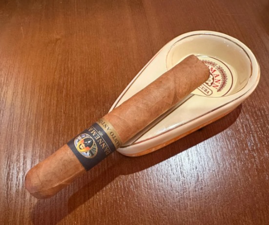 丹纳曼圣安东尼奥罗布图 - 图片