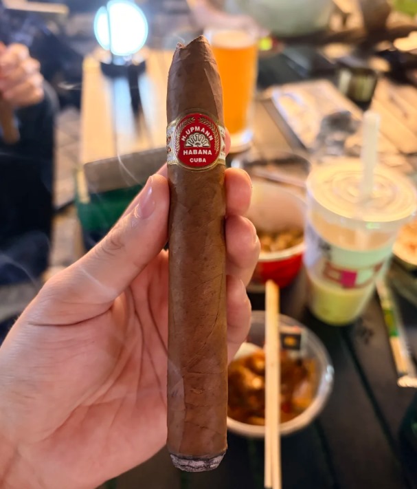 乌普曼2号 - 图片