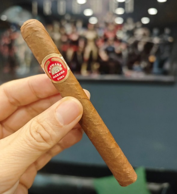 乌普曼逍遥 - 图片