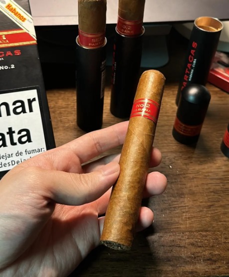 帕特加斯告朗拿少年铝管装