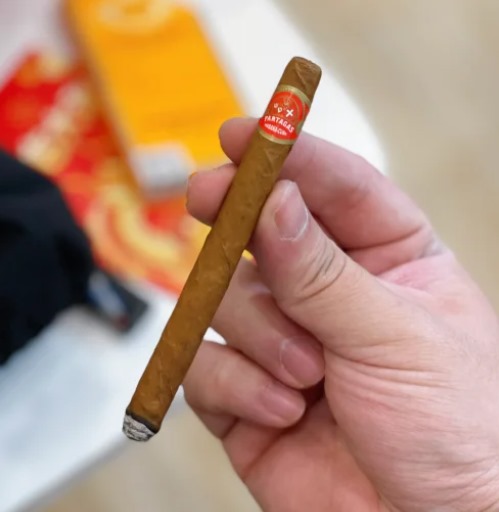 帕特加斯迷你 - 图片