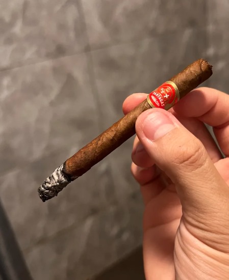 帕特加斯迷你 - 图片