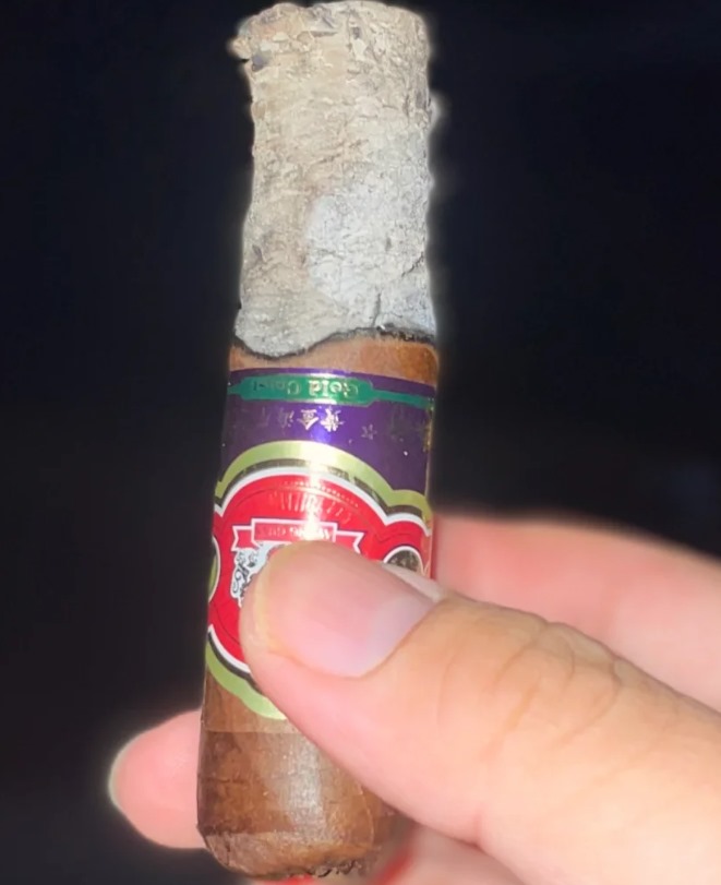 王冠假日∙黄金海岸 - 图片