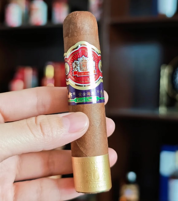 王冠假日∙黄金海岸 - 图片