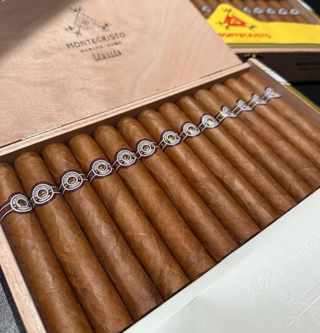 蒙特小爱蒙多 - 图片