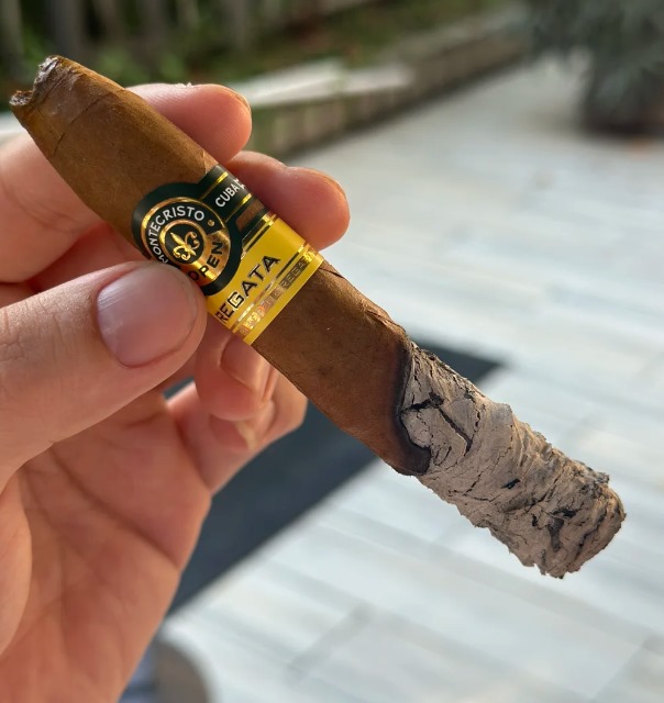 蒙特帆船赛 - 图片