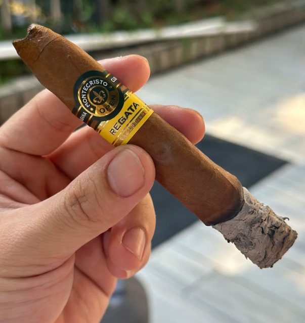 蒙特帆船赛 - 图片