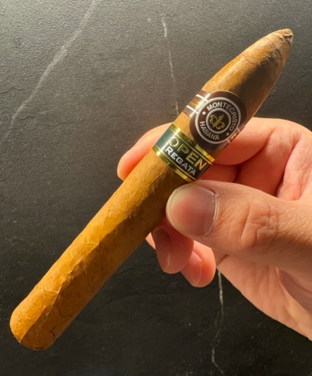 蒙特比赛 - 图片